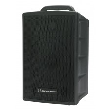 Passieve 100W speaker voor runner of sprinter syst