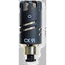Cardioid capsule + W 90 windscreen