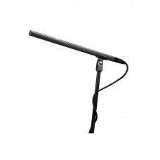 Line + Gradient Condenser Microphone