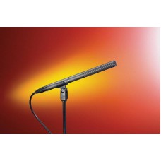 AT897 Line + Gradient Condenser Microphone