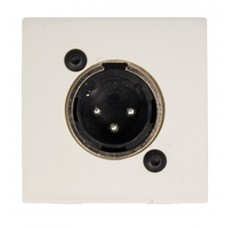 Cover plate BTicono standard +D-size XLRmale white