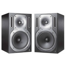 Passive Ultra-linear monitor 150 watt p/stuk