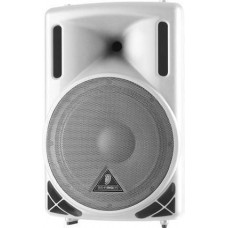 1000 Watt 2-Way PA Speaker System 15