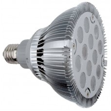 Par 38 LED E27 12x2W Warm White