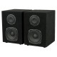 Active Studio Monitor