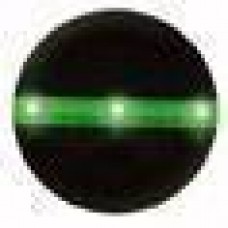 LED Flexilight 5x8mm 17cm lang 24V Green