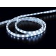 LED Flexilight 5x8mm 17cm lang 24V White