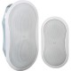 4inch 2-way inwall Speaker System
