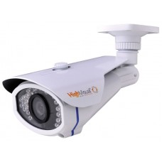 1/3 Sony Effio-E 960 CCD chip met 700TVL IR 25-30