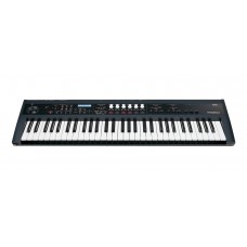 61 Semi-weighted Key  Performance Synthesizer