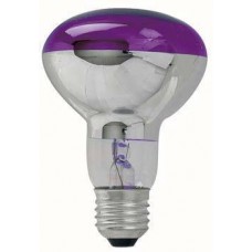 REFL R80 60W 240V PURPLE SP SHOWTEC E27