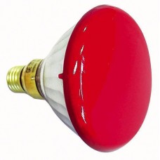 PAR38 90W 240V FL 30° RED SHOWTEC E27