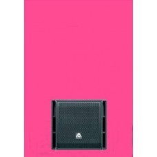 Master Audio Array subwoofer