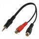 van stereo jack naar 2*cinch female