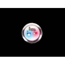 FLASHING BUTTON (1 BLUE + 1 RED LED)