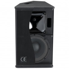 Passive install speaker - 10 inch 250 Wrms - Black