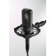 Cardioid Condenser Microphone with shock mount
