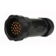 Socapex 19 pin male cable connector PG29 IP67