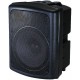 Amplified bass cabinet 15