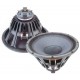 Coaxial Neo Woofer 305 inch 250 Wrms